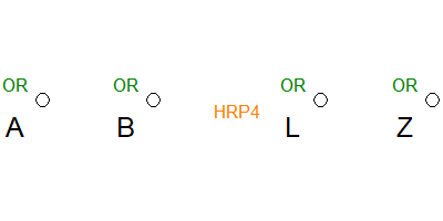HRP4-Counter pattern